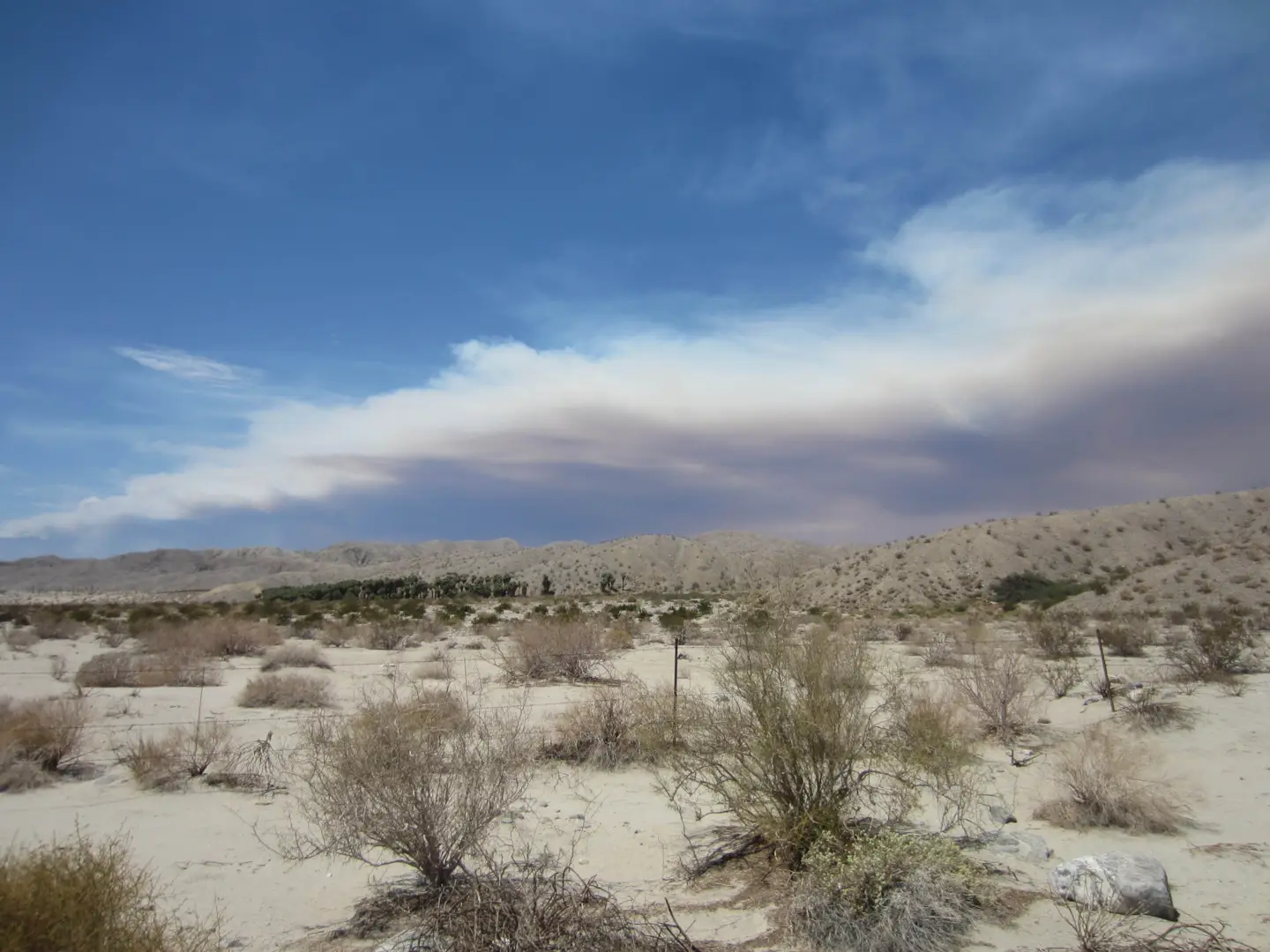 The smoke cloud above Joshua Tree National Park