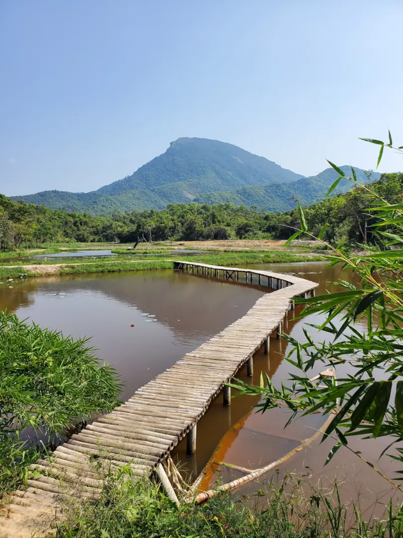 Mỹ Sơn