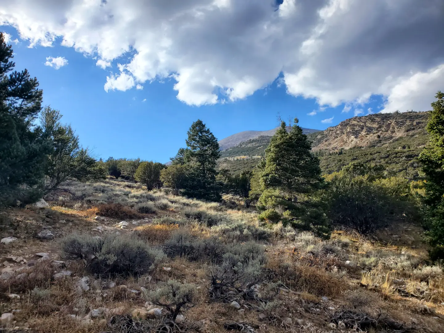 Great Basin National Park 