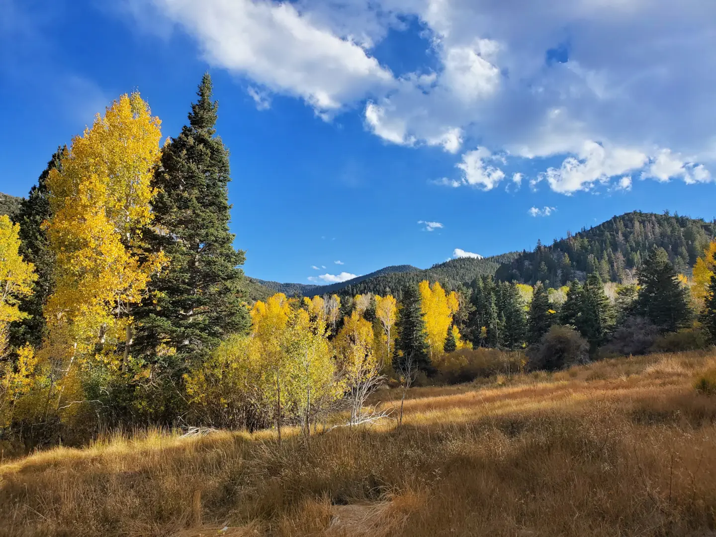 Great Basin National Park 