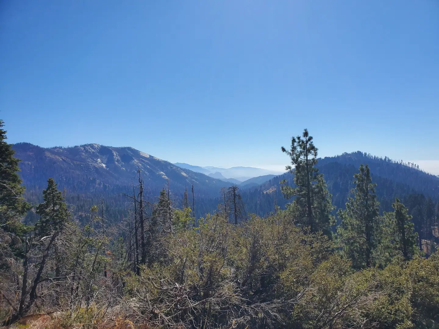 Sequoia National Park 