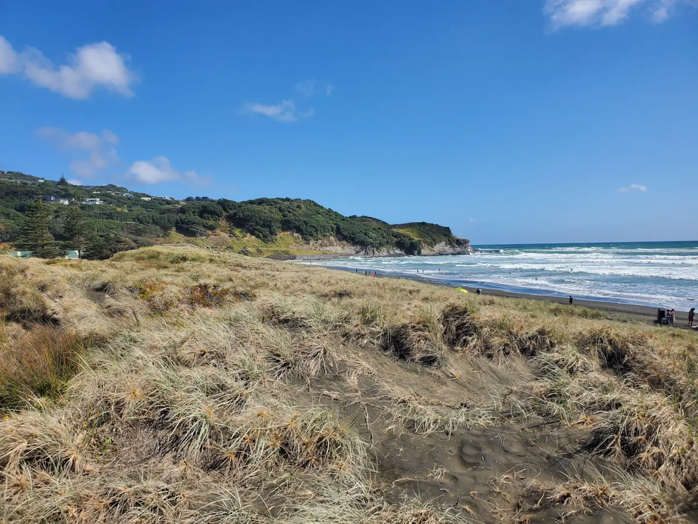 Auckland's West Coast