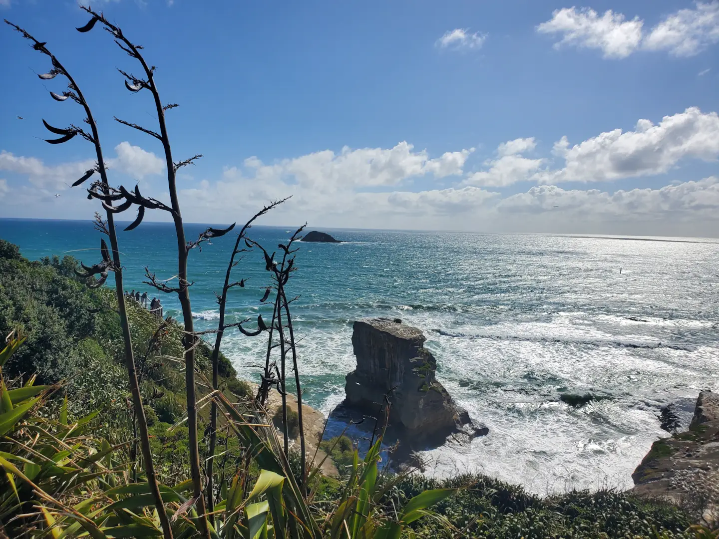 Auckland's West Coast